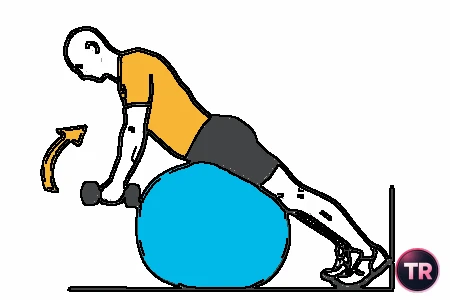 Extensión lumbar sobre pelota con mancuernas