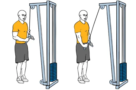 Extensión de tríceps de pie con polea