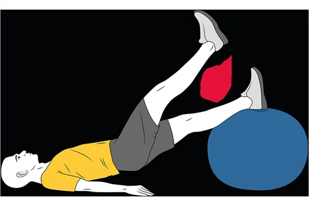Flexión de cadera con la pelvis elevada sobre pelota de pilates