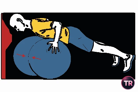 Push-ups on two stability balls together