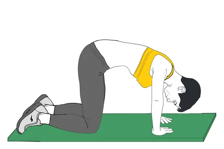 Hipopresivo cuadrupedia