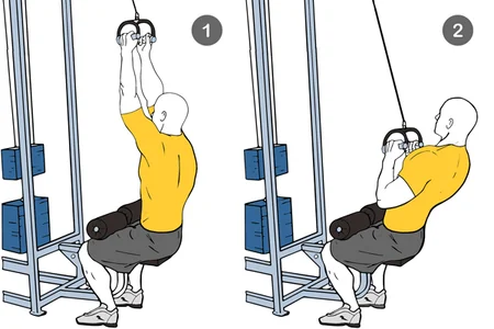 Jalón con polea alta agarre neutro