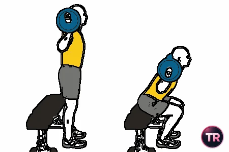 Half squat with barbell and support on a bench