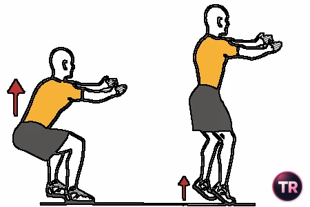 Demi-squat et élévation de mollets