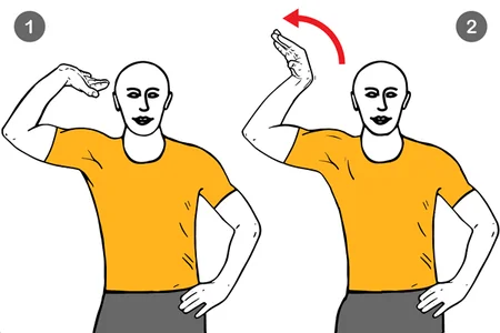 Movilización del nervio cubital : Dorsiflexión de muñeca