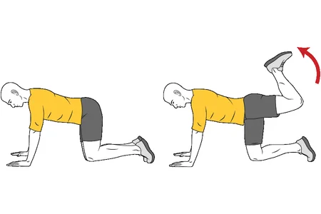 Patada atrás en cuadrupedia