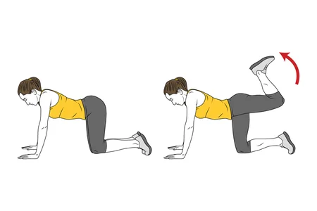 Patada atrás en cuadrupedia