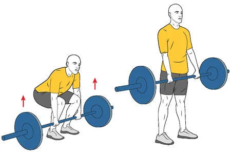 Peso muerto con barra o tradicional