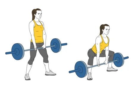 Peso muerto con barra o tradicional