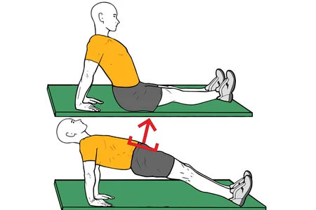 Reverse plank