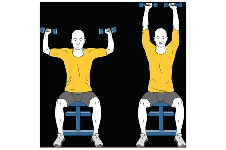 Press de hombros con mancuernas sentado