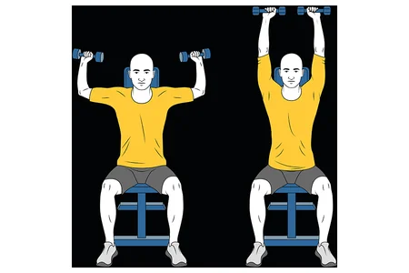 Press de hombros con mancuernas sentado con apoyo