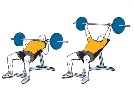 Press pectoral con barra banco inclinado