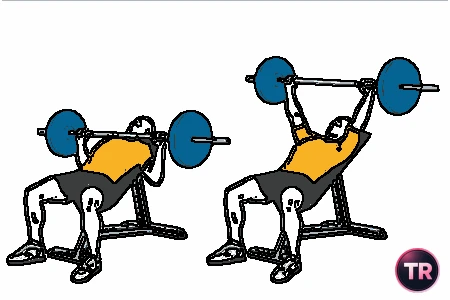 Press pectoral con barra banco inclinado
