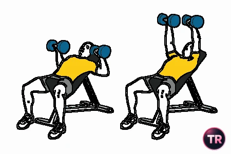 Press pectoral con mancuernas en banco inclinado