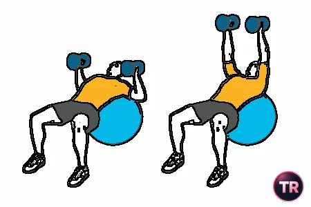Press pectoral inclinado con mancuernas sobre pelota de Pilates