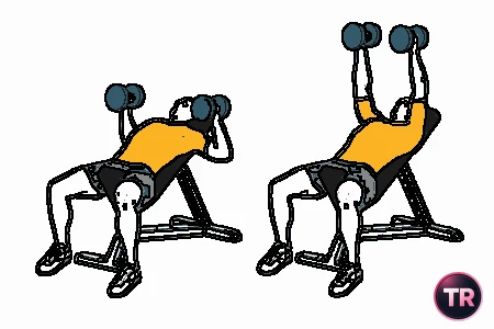 Press pectoral con mancuernas en banco inclinado agarre neutro