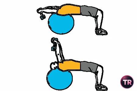 Pullover con mancuerna sobre pelota de Pilates