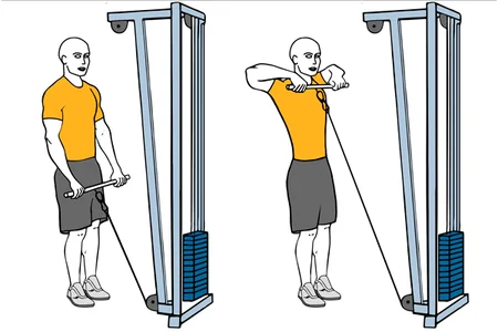 Remo al cuello con barra cable-polea de pie