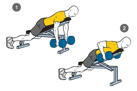 Remo con mancuernas en banco inclinado