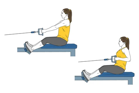 Remo horizontal sentado con polea