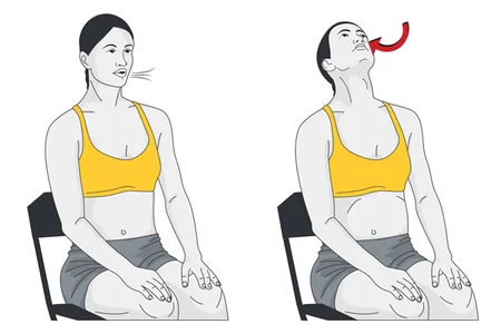 Respiración abdómino-diafragmática con extensión de cuello. Sentado