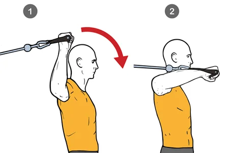 Rotación interna de hombro con cable-polea de pie