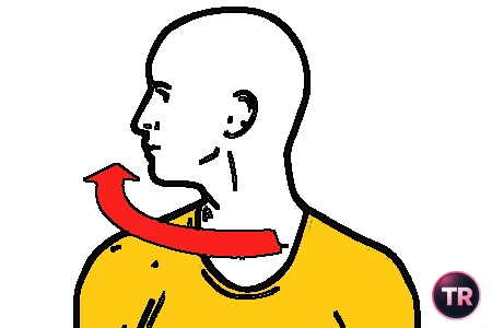 Rotación del cuello a la derecha