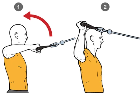 Rotación externa de hombro con cable-polea de pie