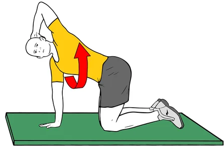 Rotación torácica en cuadrupedia