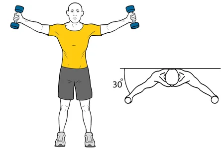 Elevación de hombros en el plano de la escapula
