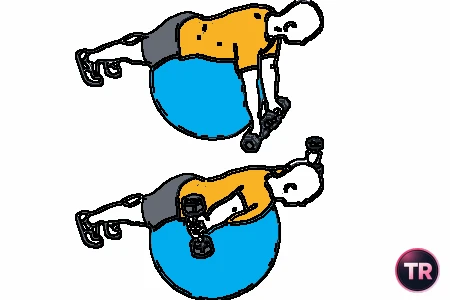 Ejercicio t o elevación frontal de mancuernas sobre pelota suiza