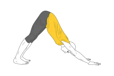 Yoga: postura del perro