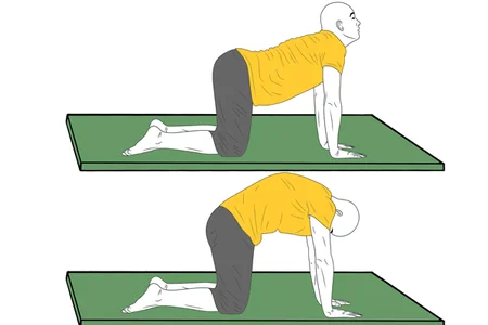 Yoga: Postura del gato y del perro