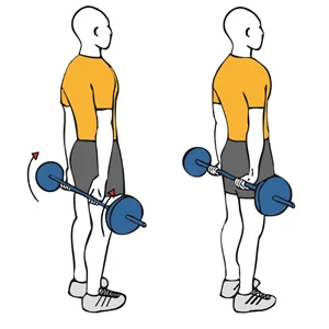 Flexión de muñecas con barra en la espalda