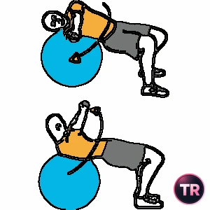 Giros rusos sobre pelota de Pilates