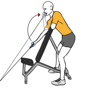 Curl de biceps con cable-polea apoyado en banco inclinado