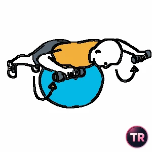 Shoulder rotation with dumbbells prone on a stability ball