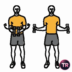 Shoulder rotation with dumbbells standing