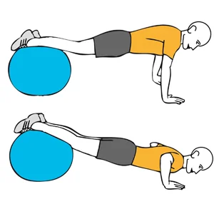 Flexion of arms with support on a stability ball
