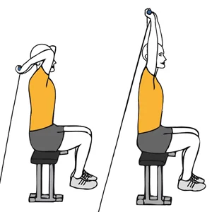 Extensión de triceps con cable-polea sentados