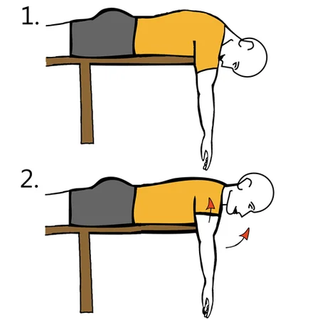 Extensión cervical y de hombros con brazos estirados