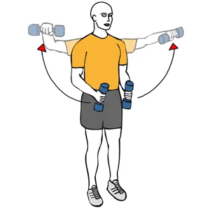 Elevación lateral de hombros con mancuernas de pie