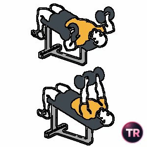 Press pectoral con mancuernas en banco declinado