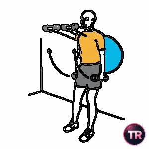 Front raise with twist of the shoulders with dumbbells supported on a stability ball