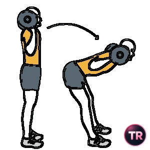 Buenos dias o flexión de tronco adelante con barra en la nuca