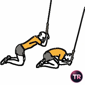 Forward torso flexion with a cable machine of knees