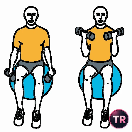 Curl de bíceps con giro sentados sobre pelota de Pilates