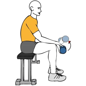 Flexión de muñeca con mancuerna en supinación antebrazo apoyado en el muslo