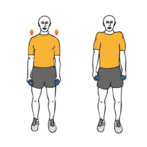 Encogimiento de hombros con mancuernas
